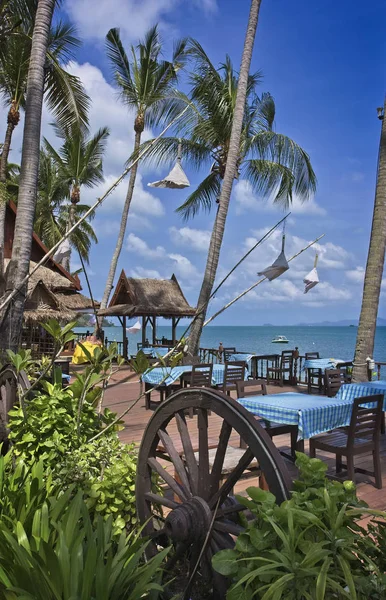 Tajlandia Koh Samui Wyspie Samui Restauracja Plaży — Zdjęcie stockowe