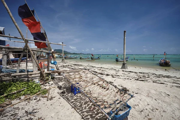 Thaiföld Koh Samui Samui Sziget Helyi Halászhajók Hal Nap Strandon — Stock Fotó