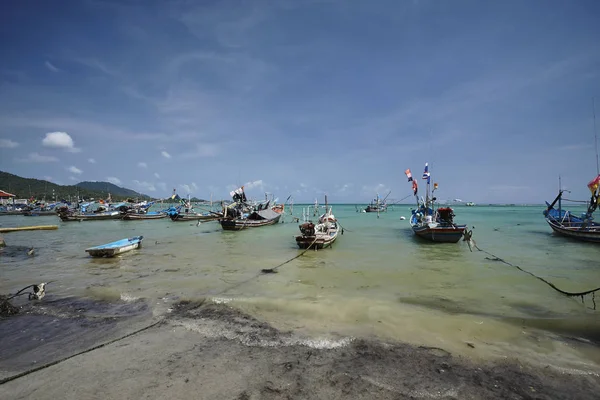 사무이 Samui 지역의 — 스톡 사진