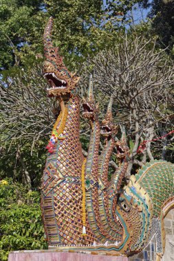 Tayland, Chiang Mai, Prathat Doi Suthep Tapınağı (Wat Prathat Doi Suthep), Ejder heykelleri