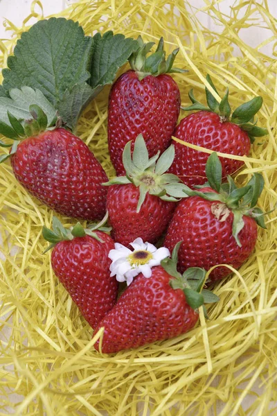 Italy Strawberries Foe Sale Fruit Store — Stock Photo, Image