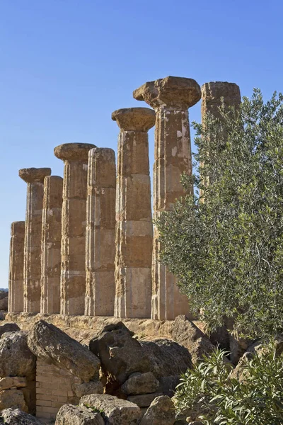 Italie Sicile Agrigente Vallée Des Temples Grecs Colonnes Temple Hercule — Photo