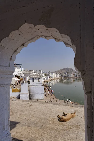 India Rajasthan Pushkar January 2007 People Pigeons Sacred Lake Editorial — Stock Photo, Image