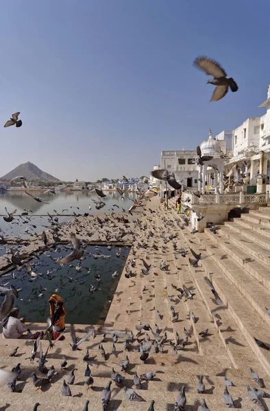 India Rajasthan Pushkar People Pigeons Sacred Lake — Stock Photo, Image