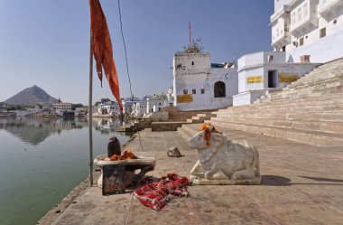 Hindistan, rajasthan, pushkar, şehrin görünümünü ve bir eski dini kutsal inek heykeli