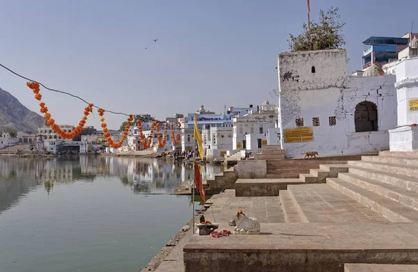 Hindistan, Rajasthan, Pushkar; insanlar kutsal göl kenarında 