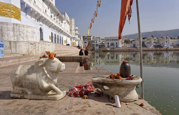 Indie Rajasthan Pushkar Pohled Město Staré Náboženské Socha Posvátnou Krávou — Stock fotografie