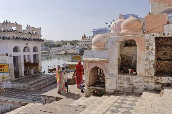 Inde Rajasthan Pushkar Janvier 2007 Personnes Vaches Bord Lac Sacré — Photo