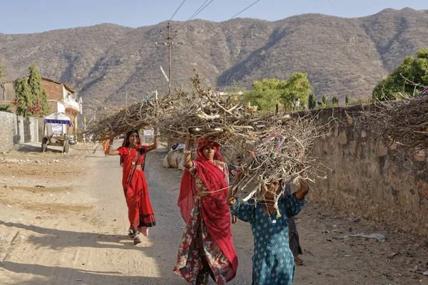 Hindistan Rajasthan Pushkar Jamuary 2007 Ahşap Şubelere Başlarına Içerik Taşıyan — Stok fotoğraf