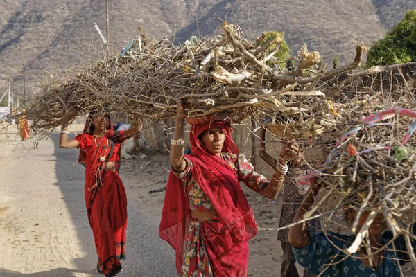 Hindistan Rajasthan Pushkar Jamuary 2007 Ahşap Şubelere Başlarına Içerik Taşıyan — Stok fotoğraf