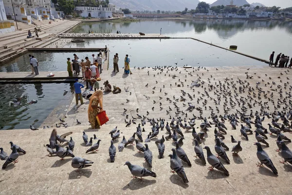 Indien Rajasthan Pushkar Januar 2007 Menschen Und Tauben Heiligen See — Stockfoto