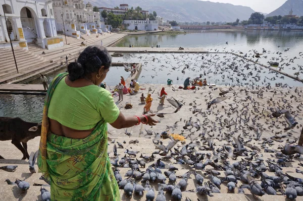 Indien Rajasthan Pushkar Januar 2007 Indische Frau Füttert Tauben Heiligen — Stockfoto