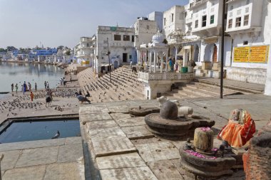 Hindistan, Rajasthan, Pushkar; 28 Ocak 2007, insanlar, inek ve güvercinler kutsal göl - Editörden