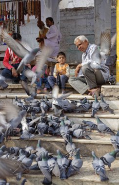 Hindistan, Rajasthan, Pushkar; 28 Ocak 2007, insanlar kutsal göl - editoryal güvercin besleme