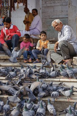 Hindistan, Rajasthan, Pushkar; 28 Ocak 2007, insanlar kutsal göl - editoryal güvercin besleme