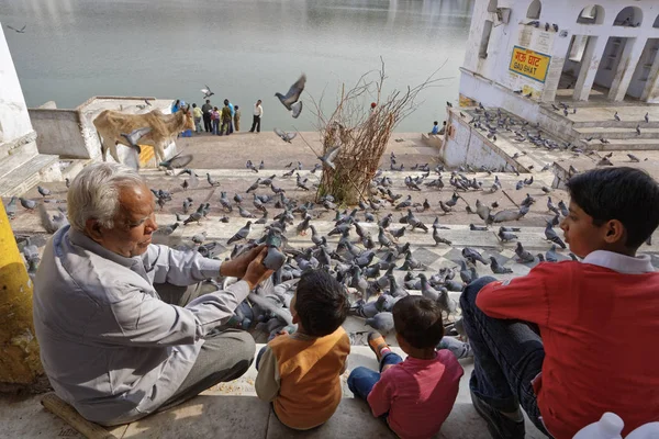 India Rajastán Pushkar Enero 2007 Personas Alimentando Palomas Junto Lago —  Fotos de Stock