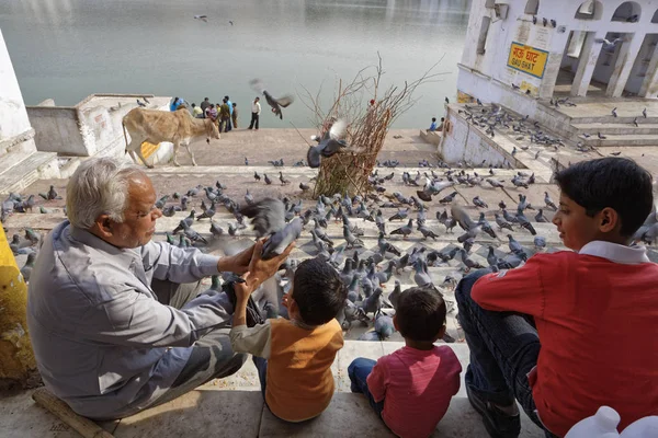 India Rajasthan Pushkar Gennaio 2007 Persone Che Nutrono Piccioni Presso — Foto Stock