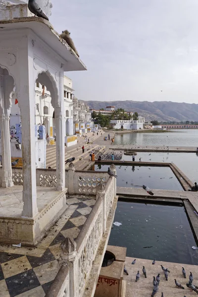Indie Radżastan Pushkar Pielgrzymi Gołębie Przez Jezioro Święte — Zdjęcie stockowe
