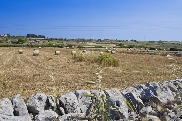 Itálie Sicílie Provincie Ragusa Venkov Sklizené Seno Pole — Stock fotografie