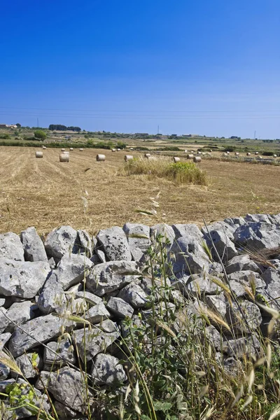 Italië Sicilië Platteland Spaanse Provincie Ragusa Geoogst Hooi Veld — Stockfoto