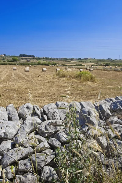 Italië Sicilië Platteland Spaanse Provincie Ragusa Geoogst Hooi Veld — Stockfoto