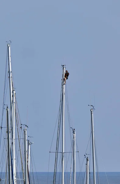 Italia Sicilia Mar Mediterráneo Marina Ragusa Octubre 2019 Hombre Trabajando —  Fotos de Stock