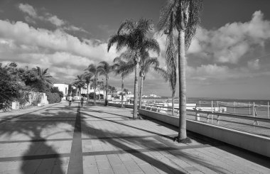 İtalya, Sicilya, Akdeniz, Marina di Ragusa (Ragusa Eyaleti), palmiye ağaçlı motorcular