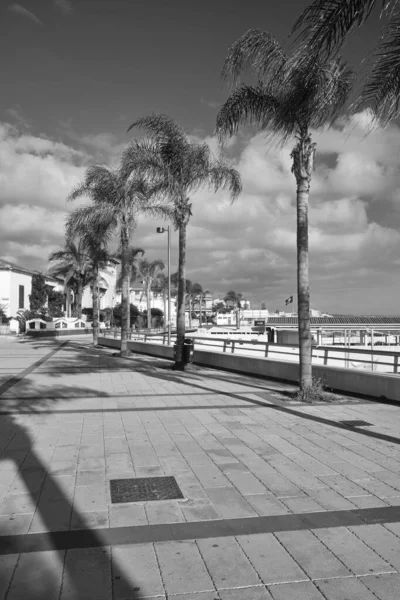 Talya Sicilya Akdeniz Marina Ragusa Ragusa Eyaleti Palmiye Ağaçlı Deniz — Stok fotoğraf