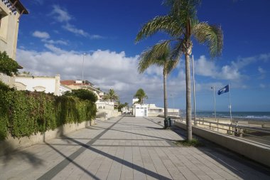 İtalya, Sicilya, Akdeniz, Marina di Ragusa (Ragusa Eyaleti), palmiye ağaçlı deniz manzarası