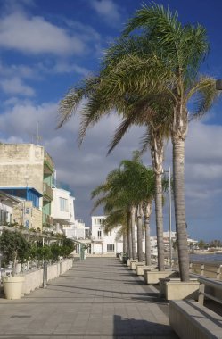 İtalya, Sicilya, Akdeniz, Marina di Ragusa (Ragusa Eyaleti), 5 Kasım 2019, Palmiye ağaçlı deniz manzarası - Editör