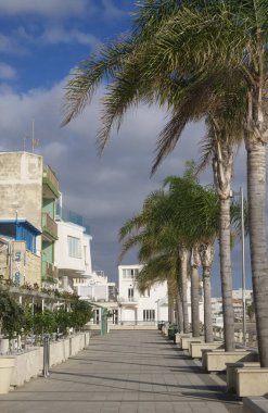 İtalya, Sicilya, Akdeniz, Marina di Ragusa (Ragusa Eyaleti), 5 Kasım 2019, Palmiye ağaçlı deniz manzarası - Editör