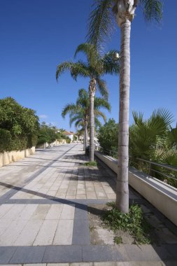 İtalya, Sicilya, Akdeniz, Marina di Ragusa (Ragusa Eyaleti), palmiye ağaçlı deniz manzarası