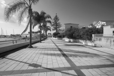 İtalya, Sicilya, Akdeniz, Marina di Ragusa (Ragusa Eyaleti), palmiye ağaçlı deniz manzarası