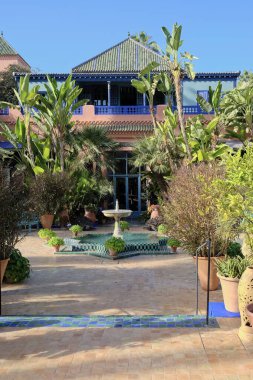 MOROCCO, MARRAKECH, ornamental plants in the Majorelle Gardens