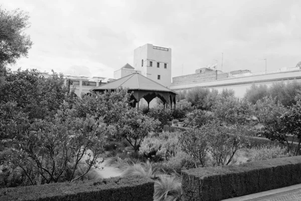 Marruecos Marrakech Plantas Ornamentales Jardín Secreto —  Fotos de Stock