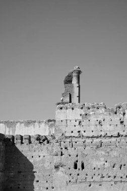 Fas, Marakeş, El Badii Sarayı, sarayın duvarlarında leylekler