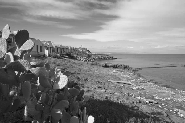 Italie Sicile Mer Méditerranée Portopalo Capo Passero Poires Piquantes Sur — Photo