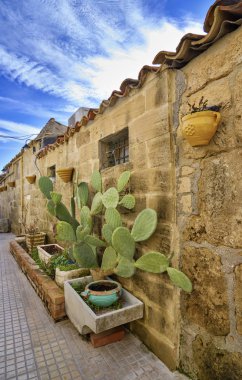 İtalya, Sicilya, Marzamemi (Siracusa Eyaleti), eski ton balığı fabrikası binaları, bir evin taş duvarında dikenli armutlar.