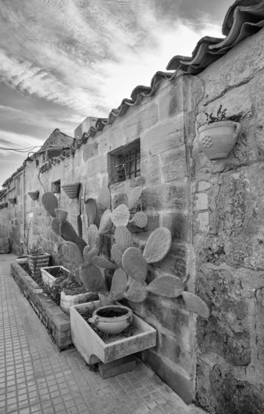 意大利 西西里 马尔扎梅米 锡拉库扎省 古老的金枪鱼捕鱼业厂房 房屋石墙上长满刺的梨 — 图库照片