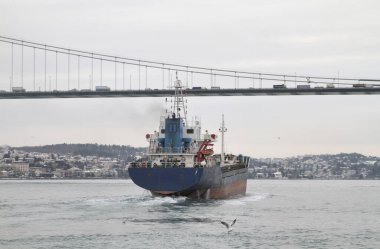 Türkiye, İstanbul, Boğaz Kanalı, Boğaz Köprüsü, Boğaz Kanalı 'nda bir kargo gemisi