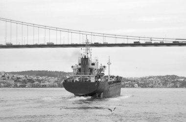 Türkiye, İstanbul, Boğaz Kanalı, Boğaz Köprüsü, Boğaz Kanalı 'nda bir kargo gemisi