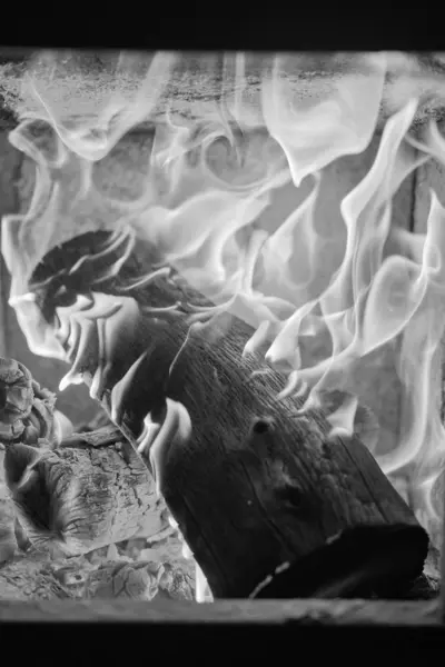 Die Formen Des Feuers Brennholz Ofen Verbrennen — Stockfoto