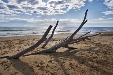 İtalya, Sicilya, Ragusa Eyaleti, Güneydoğu kıyıları, Akdeniz, kıyılarda deniz dalgaları tarafından taşınan civatalar.