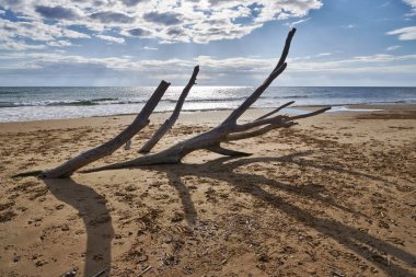 İtalya, Sicilya, Ragusa Eyaleti, Güneydoğu kıyıları, Akdeniz, kıyılarda deniz dalgaları tarafından taşınan civatalar.