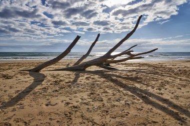 İtalya, Sicilya, Ragusa Eyaleti, Güneydoğu kıyıları, Akdeniz, kıyılarda deniz dalgaları tarafından taşınan civatalar.