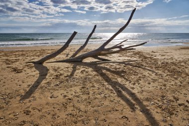 İtalya, Sicilya, Ragusa Eyaleti, Güneydoğu kıyıları, Akdeniz, kıyılarda deniz dalgaları tarafından taşınan civatalar.