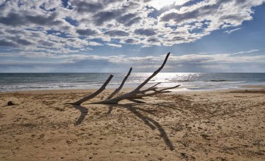 İtalya, Sicilya, Ragusa Eyaleti, Güneydoğu kıyıları, Akdeniz, kıyılarda deniz dalgaları tarafından taşınan civatalar.