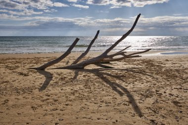 İtalya, Sicilya, Ragusa Eyaleti, Güneydoğu kıyıları, Akdeniz, kıyılarda deniz dalgaları tarafından taşınan civatalar.