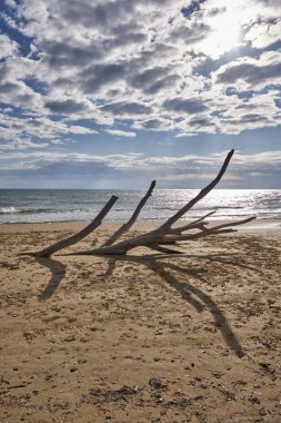 İtalya, Sicilya, Ragusa Eyaleti, Güneydoğu kıyıları, Akdeniz, kıyılarda deniz dalgaları tarafından taşınan civatalar.