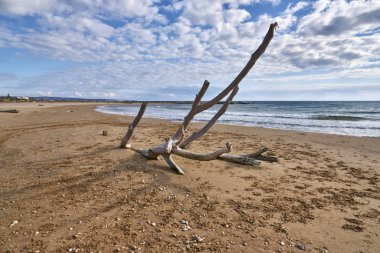 İtalya, Sicilya, Ragusa Eyaleti, Güneydoğu kıyıları, Akdeniz, kıyılarda deniz dalgaları tarafından taşınan civatalar.